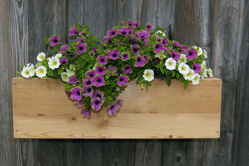 outdoor flower box